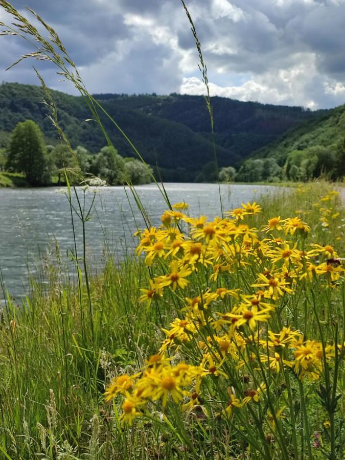 Entre Meuse Et Foret Revin  Екстериор снимка