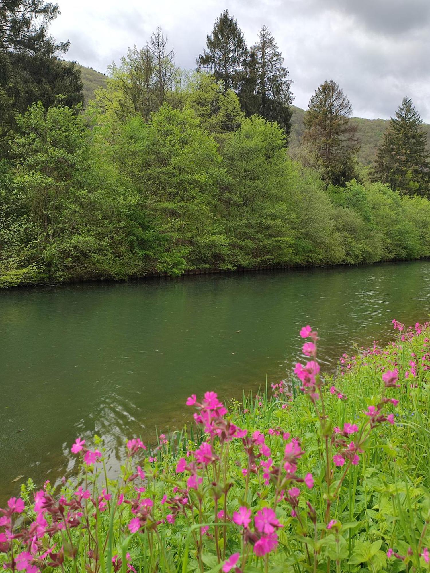 Entre Meuse Et Foret Revin  Екстериор снимка