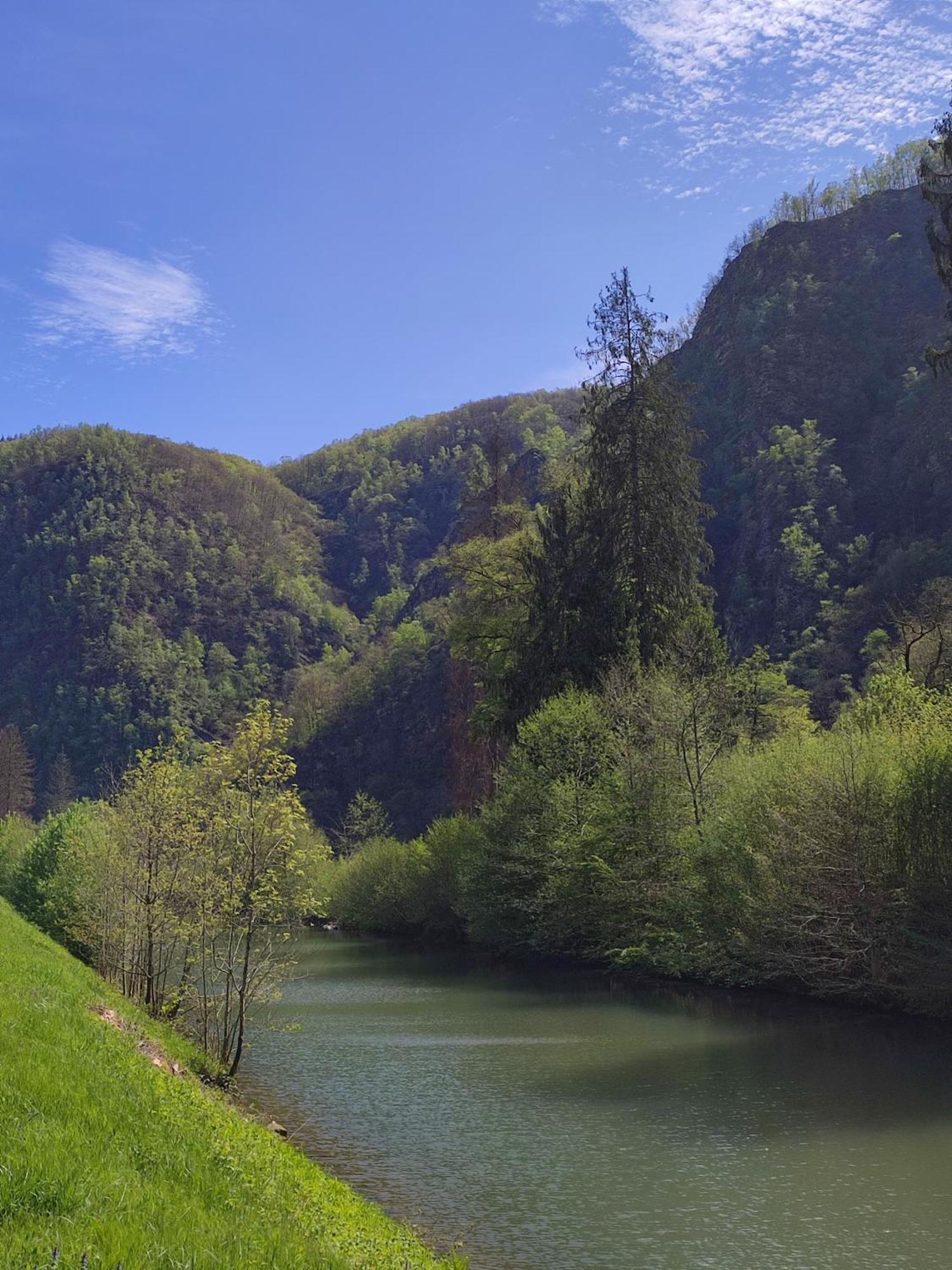 Entre Meuse Et Foret Revin  Екстериор снимка